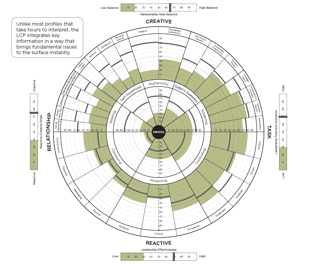 The Leadership Circle Tool